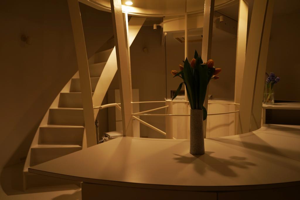 Natural Ellipse Apartment